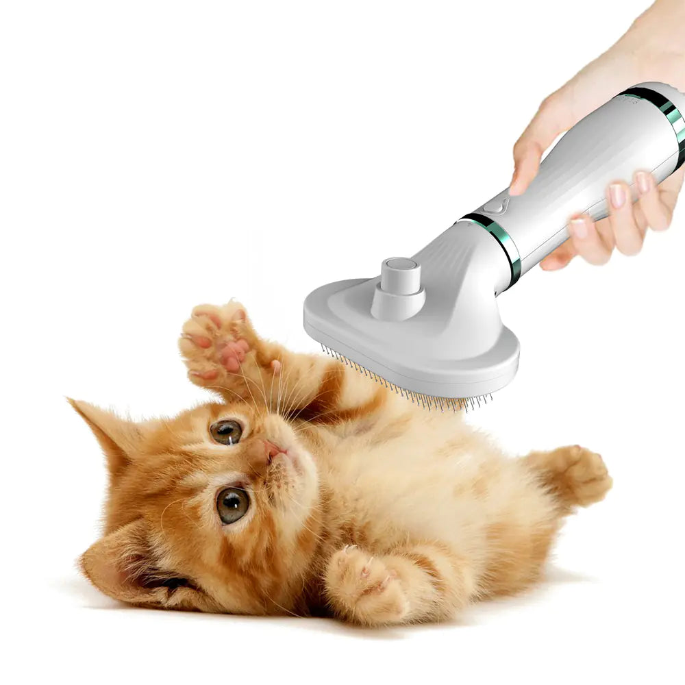 Pawsome Pet Comb Hair Dryer