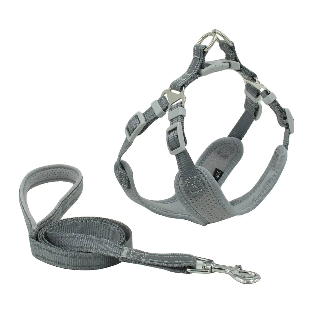 Pawsome Dog Harness