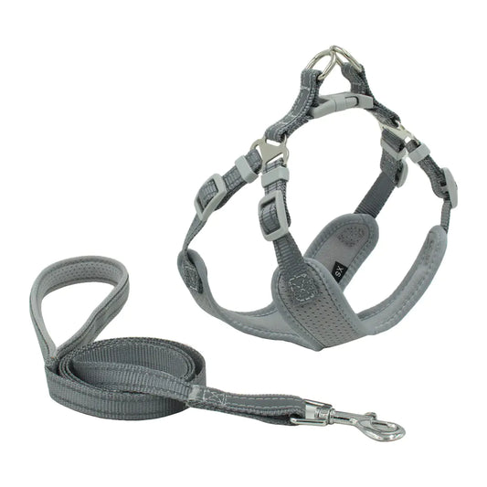 Pawsome Dog Harness