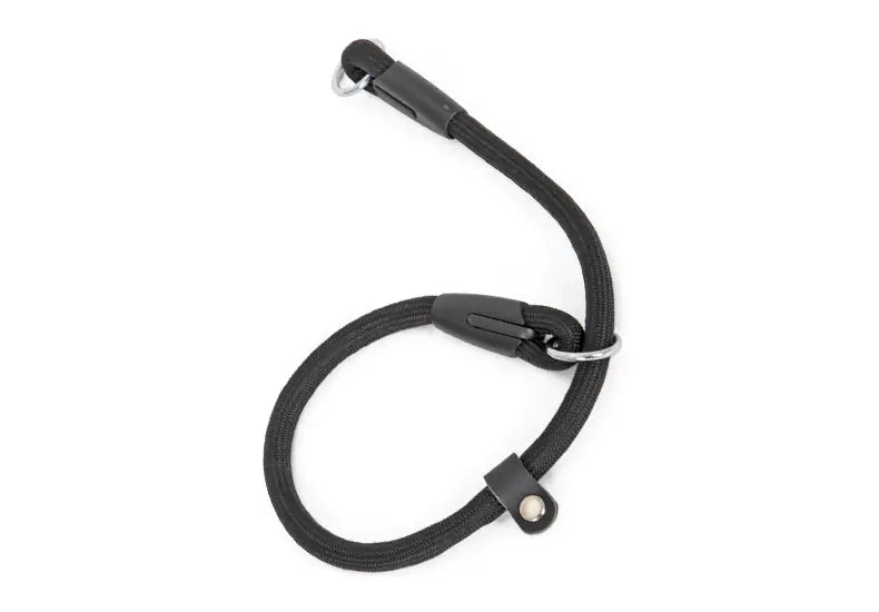 Pawsome Double-headed Dog Collar