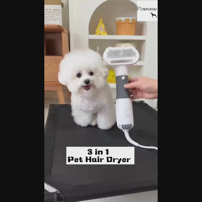 Pawsome 2-in-1 Pet Hair Dryer & Fur Remover
