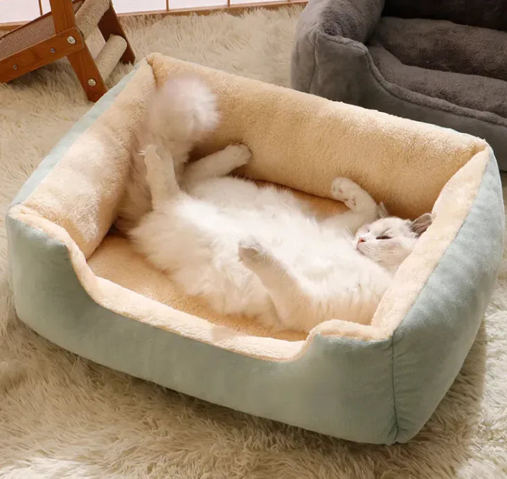 Pawsome Cat & Dog Bed